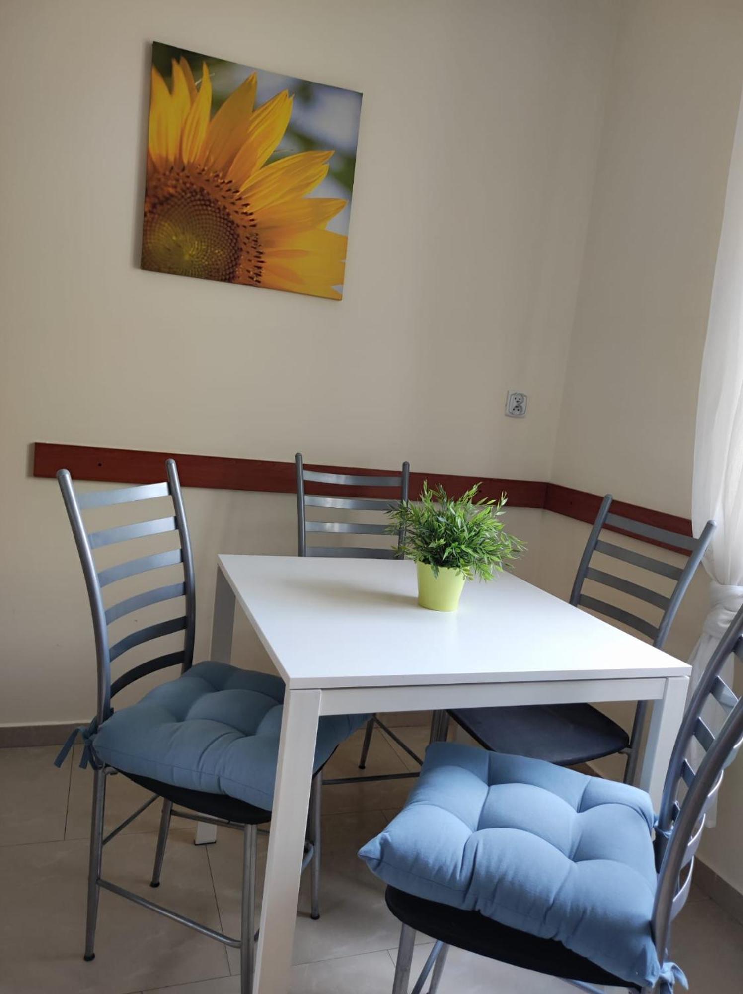 Stary Toruń Prywatny Parking Apartament Zacisze By Rentoom מראה חיצוני תמונה