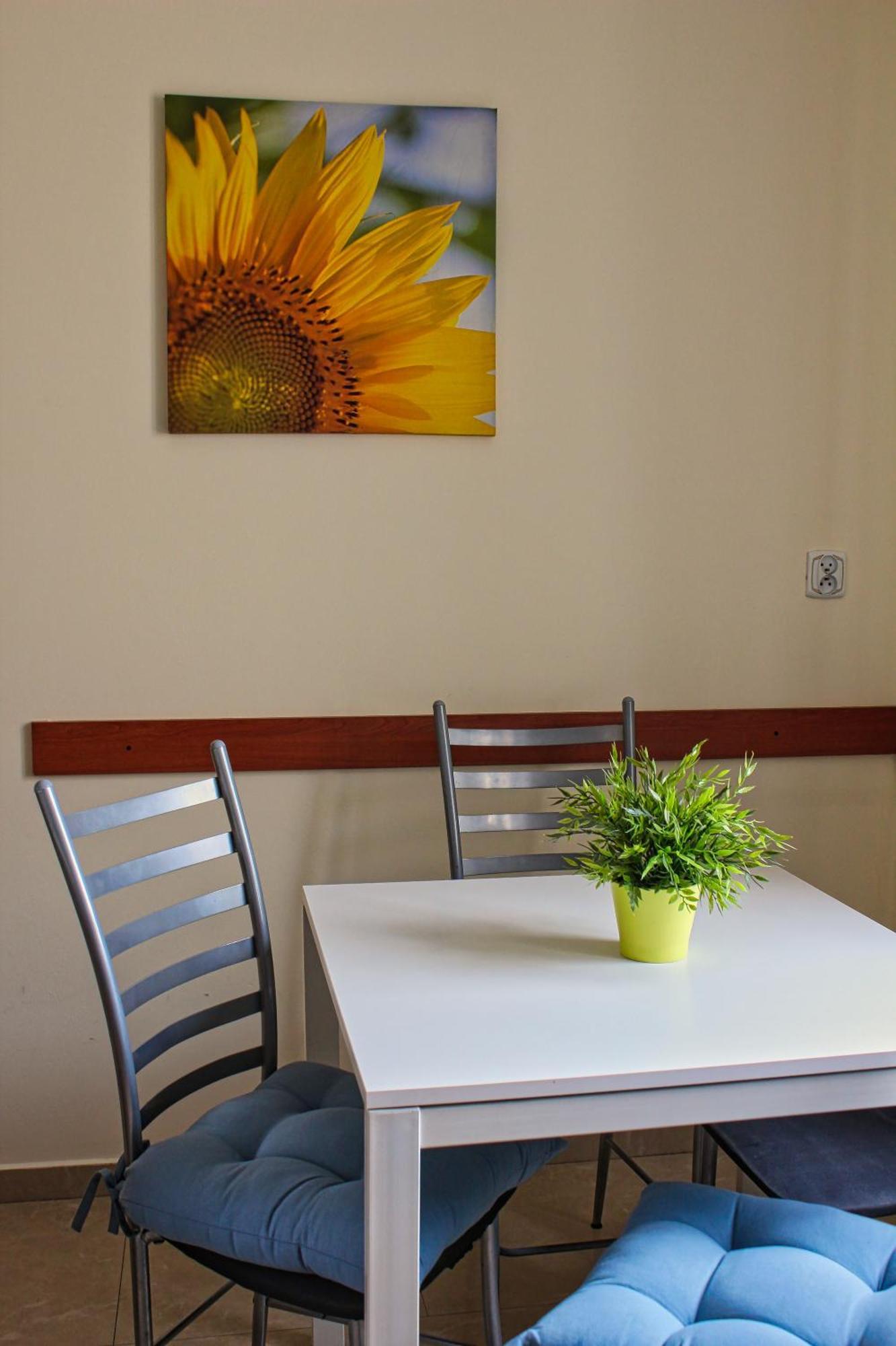 Stary Toruń Prywatny Parking Apartament Zacisze By Rentoom מראה חיצוני תמונה